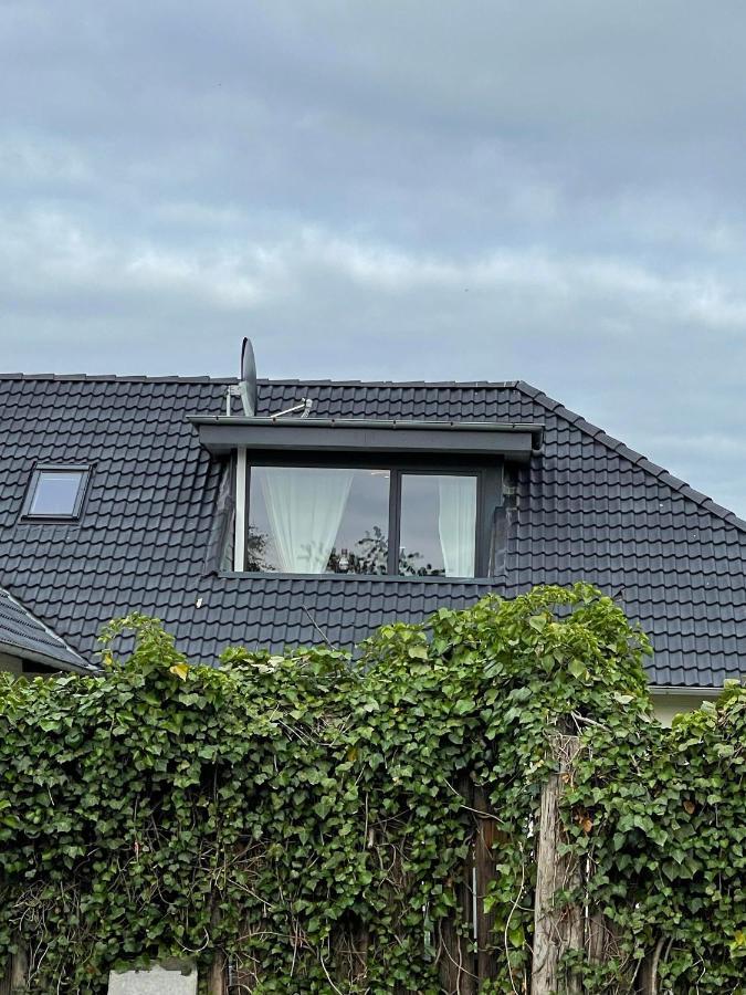 Uhse Wohlfuehloase Apartamento Heide  Exterior foto